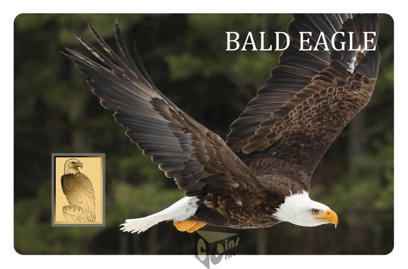 Bald Eagle America Series 1/1000 Oz 999 Gold Medal