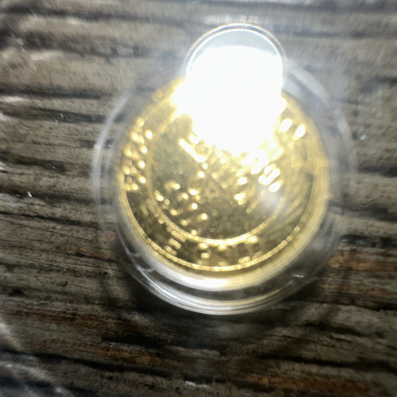 PCGS MS69 Cowboy Gold Au Round 1/500 oz No Date Certified