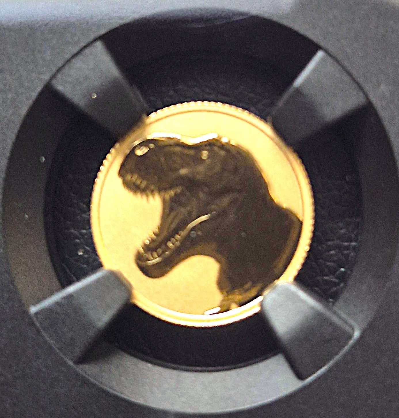 2026 REVERSE PF70 1g $1 NIUE 22kt FINE GOLD *TYRANNOSAURUS REX *NGC CERT