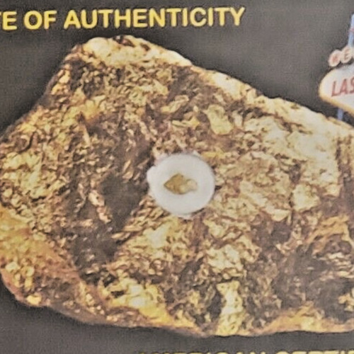 x5 Gold 1/2GRAIN RAW NEVADA NUGGET(S) Placer gold CERT 0F AUTHENTICITY ACB~