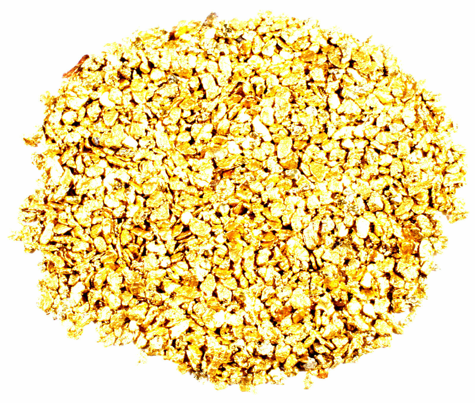 5 G PAMP SUISSE .9999 LADY FORTUNA GOLD BAR + 10 PIECE ALASKAN PURE GOLD NUGS
