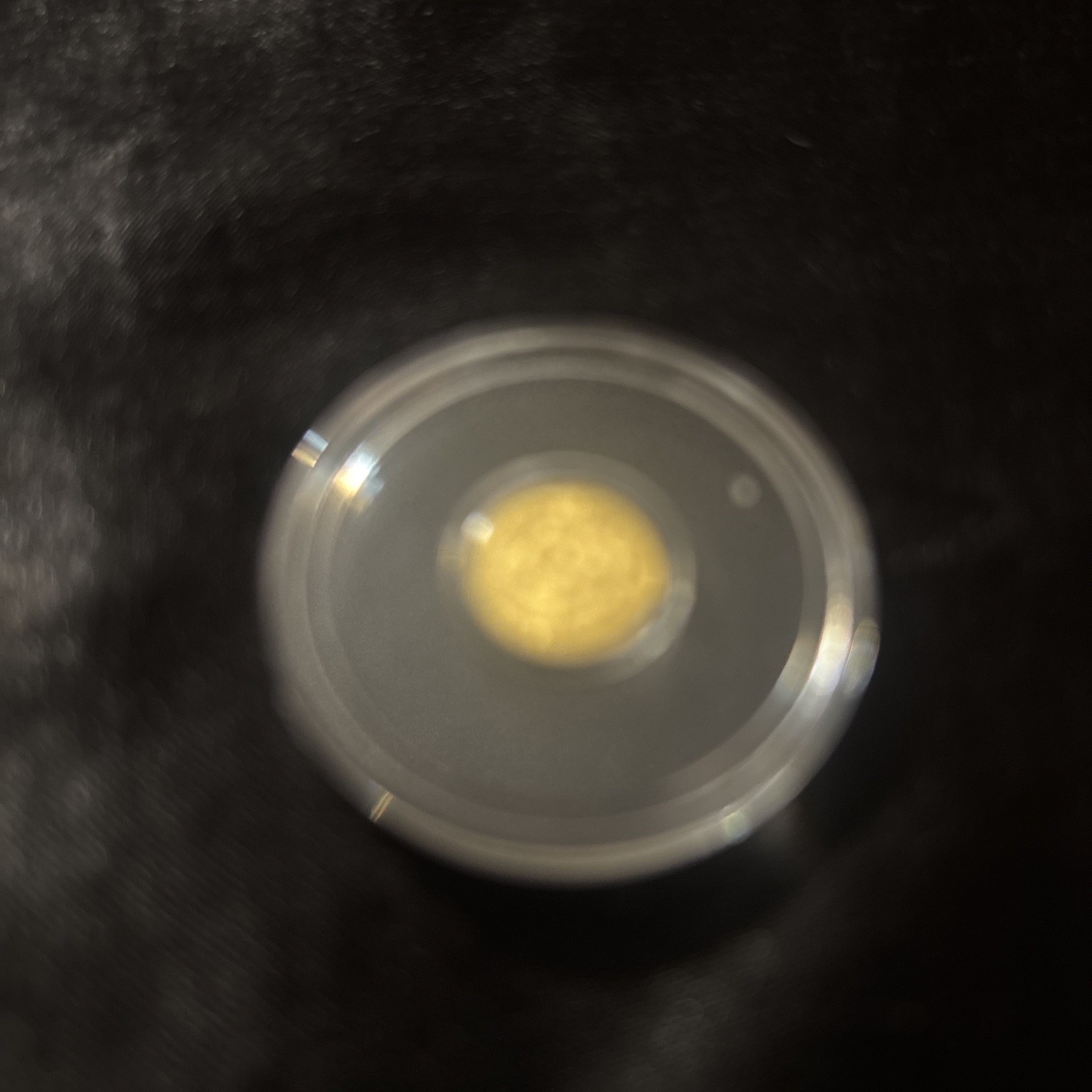 Gold rounds lot with slabs and vial with 1/4 goldback