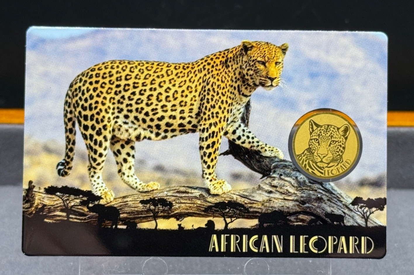 African Leopard – Africa’s Big Five 1/1000 Oz 999 Gold Coin 3000 Francs Chad!