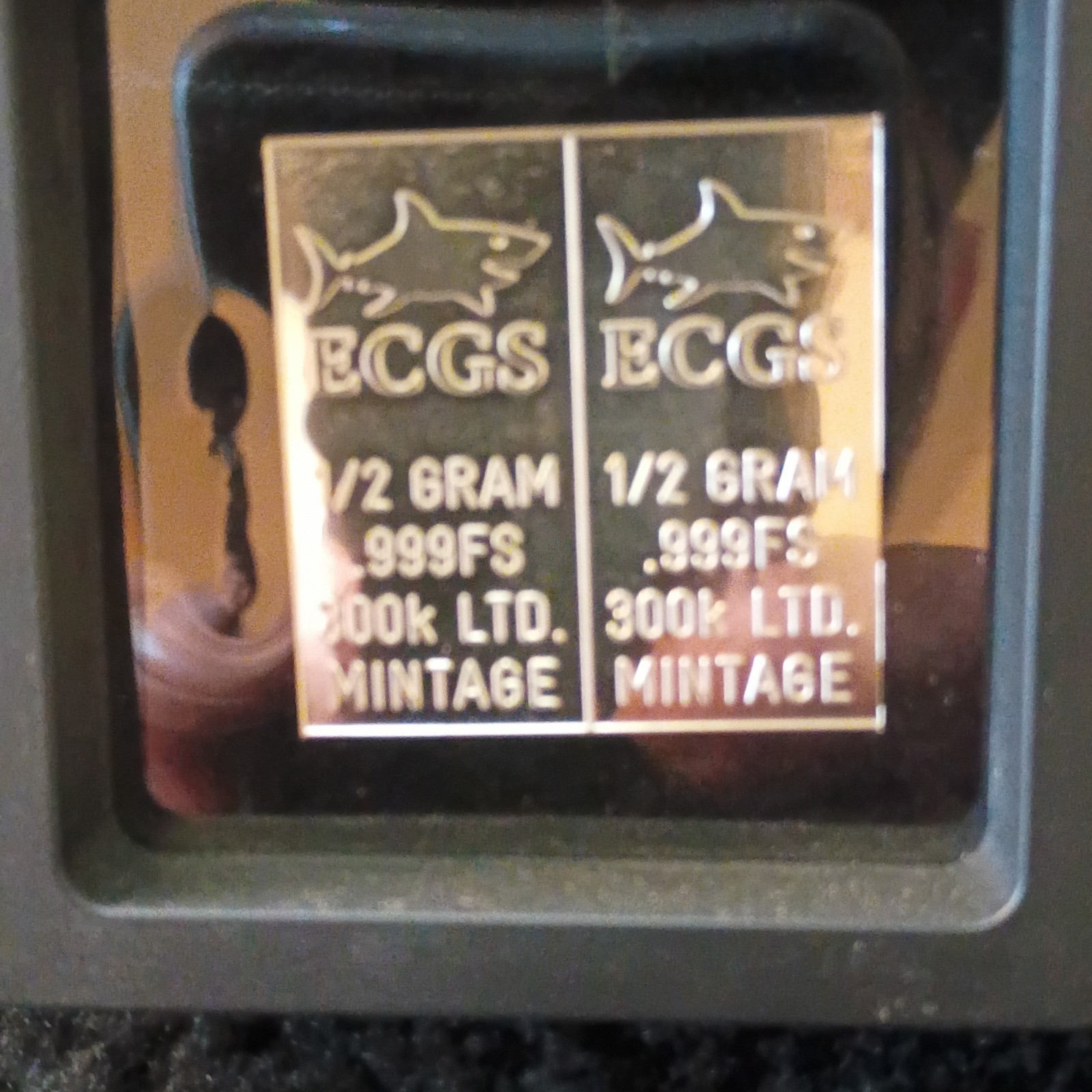 ECGS 0.999 Fine Silver Bar 1/2 Gram Each Lot of 2 (1 Gram Total)