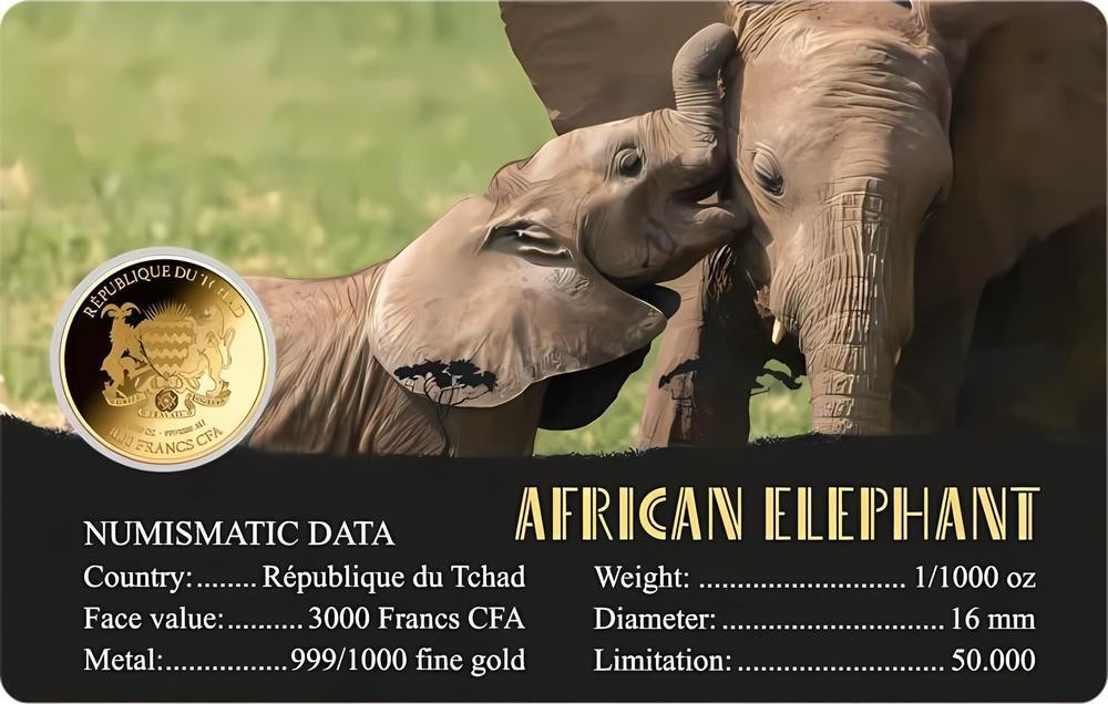 AFRICAN ELEPHANT 1/1000 Oz Gold 999 Coin card 3000 Francs Chad 2024