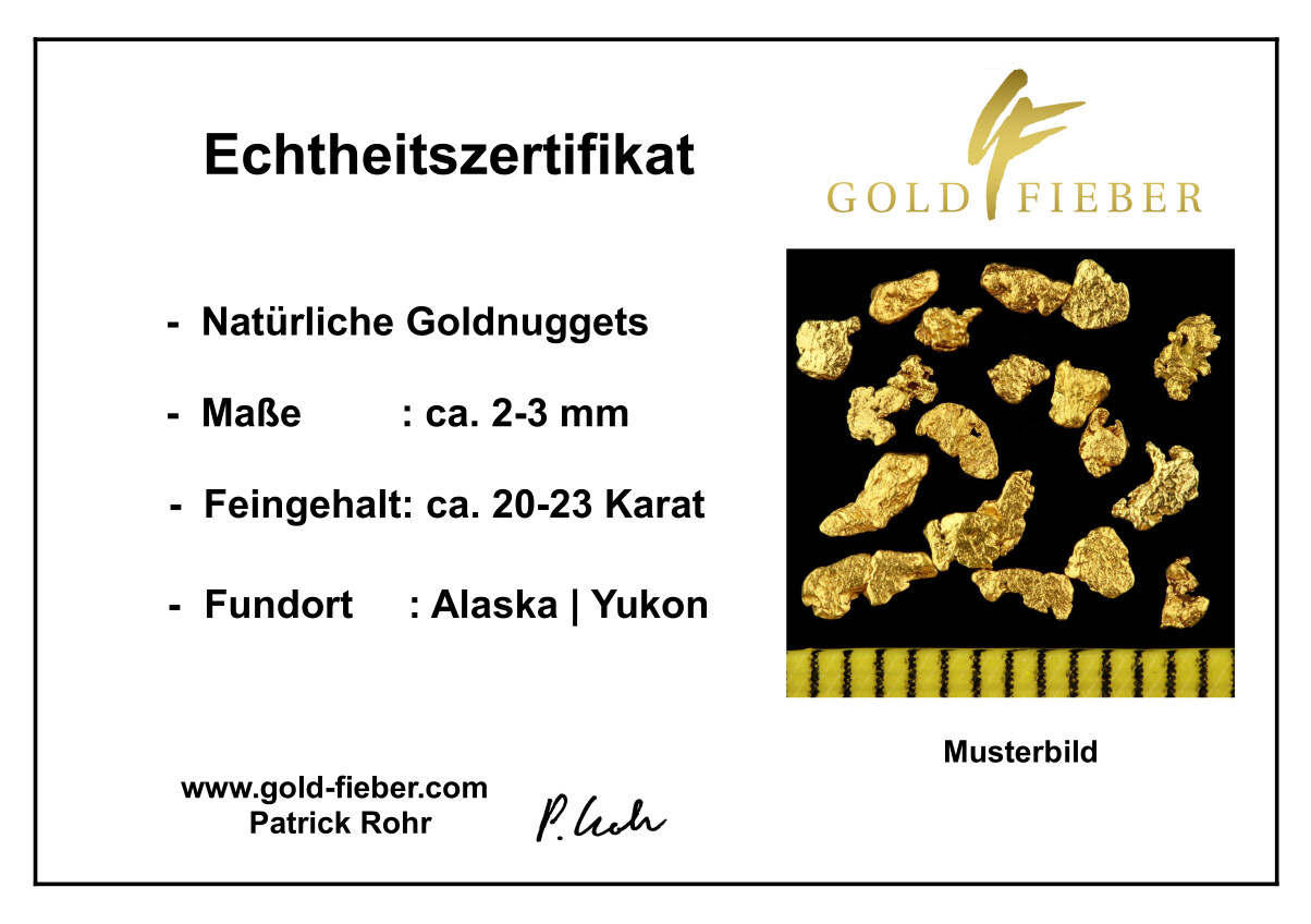 20 Real Gold Nuggets Alaska 2-3mm 20-23 Carat Bullion Coin Jewelry Gift