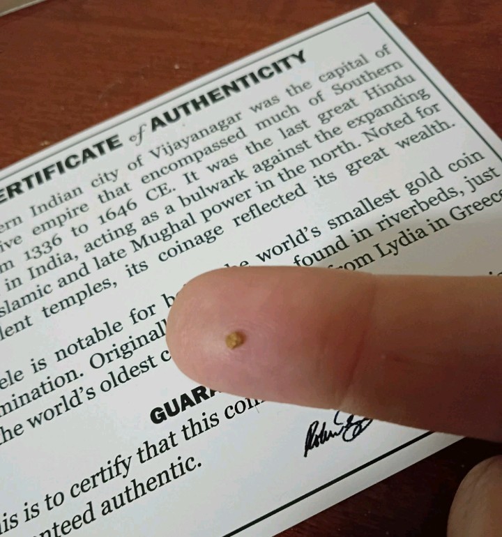 CERTIFIED: The World’s Smallest Gold Coin + 2pc Goldback Notes