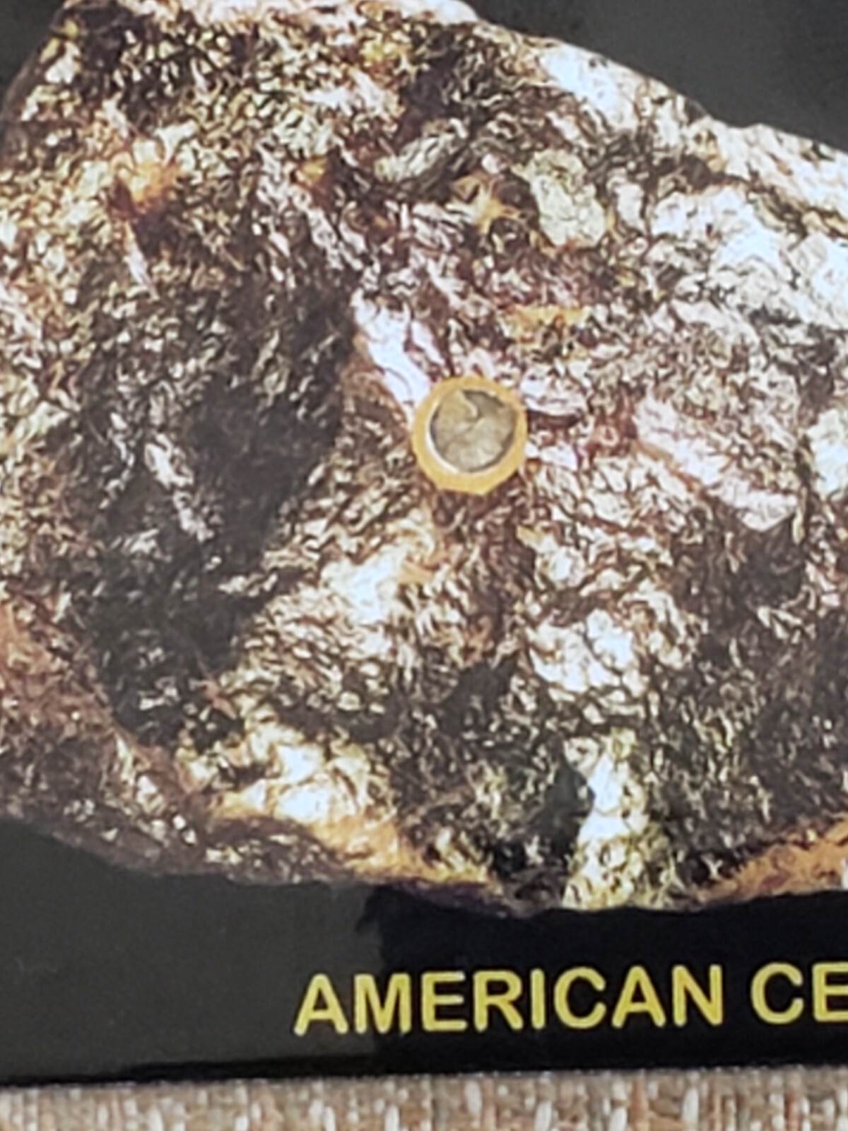 Gold 1/4GRAIN x10 RAW NEVADA NUGGET(S) Placer gold CERT 0F AUTHENTICITY ACB$