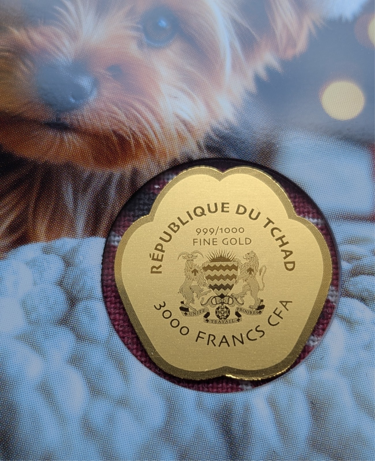 Chad Dog Paw Christmas Xmas 1/1000 Oz .999 Gold Coin in card 50k Mintage