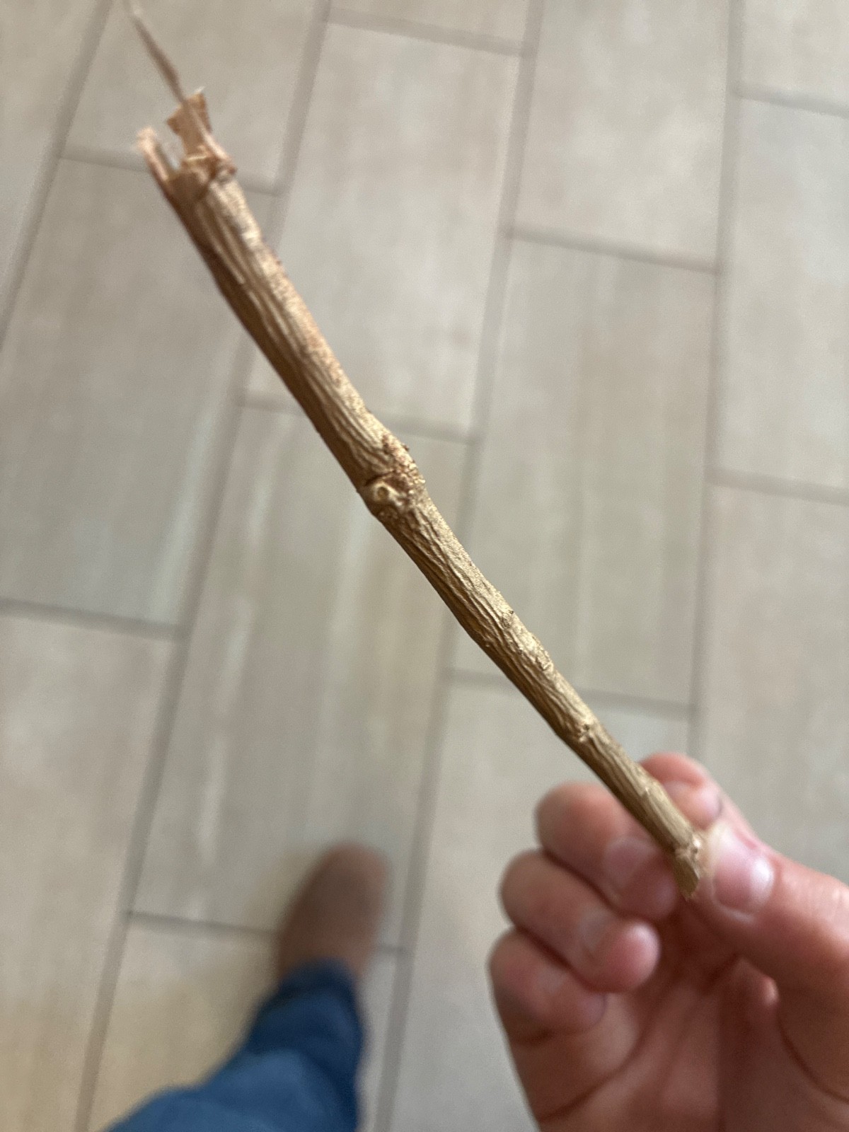 Gold stick vintage 24 karat Gold good luck charm