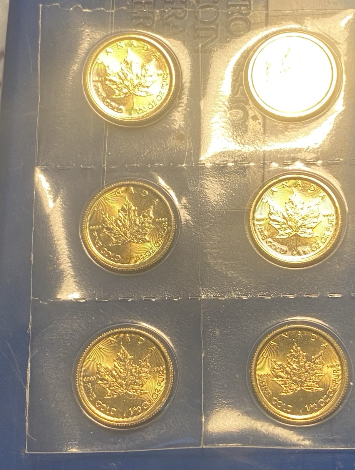 $5 2020 6 X 1/10oz GOLD MAPLE LEAFS STILL IN CANADIAN MINT SEALED SHEET STYLE