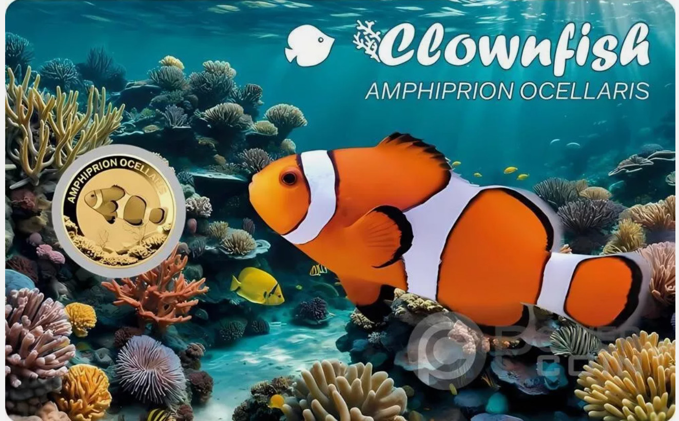 CLOWNFISH 1/1000 Oz Gold coin 3000 Francs Chad 2024