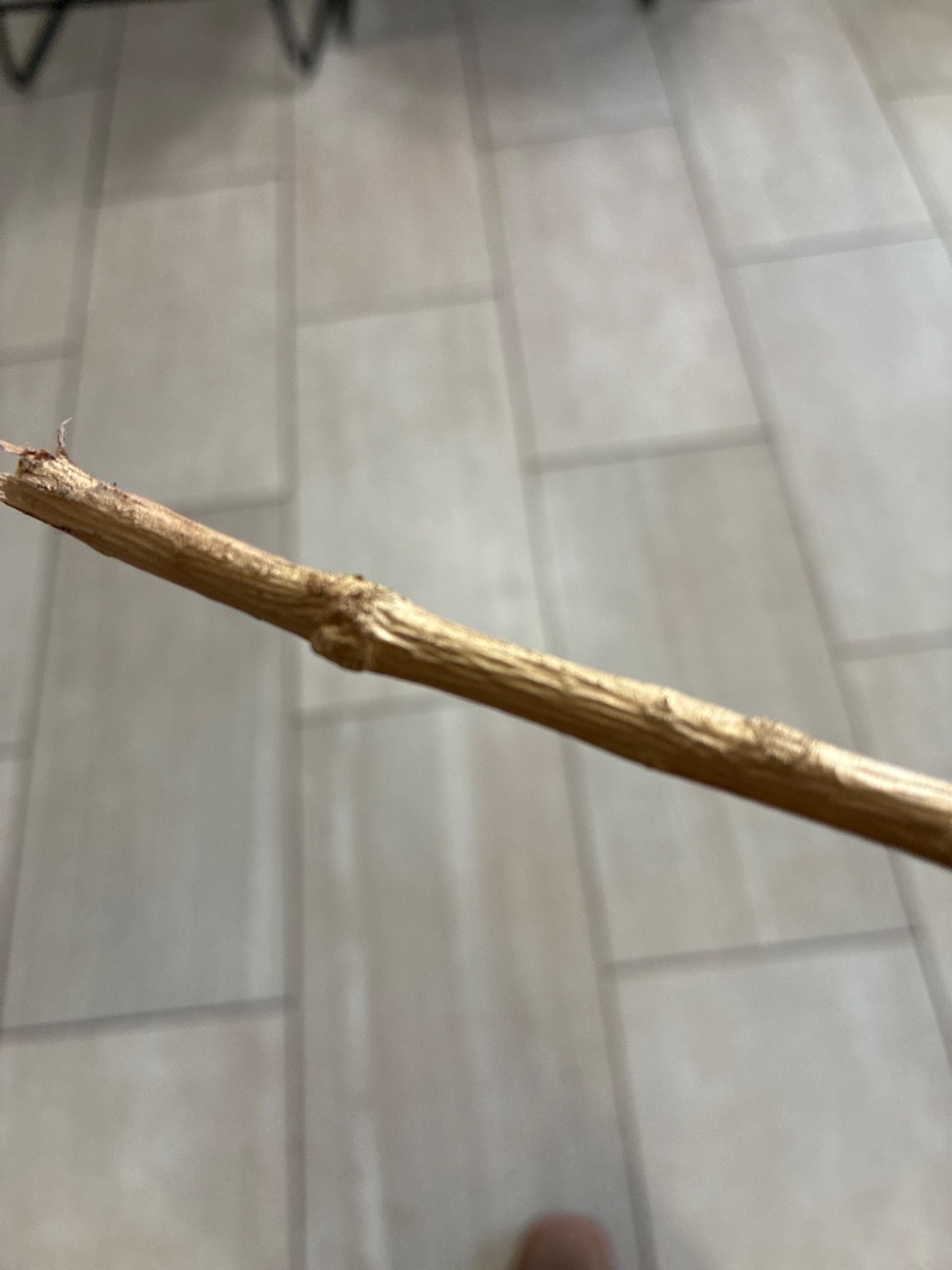 Gold stick vintage 24 karat Gold good luck charm