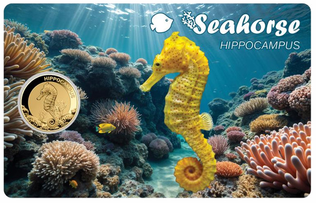 Seahorse 1/1000 Oz Gold 999 coin card 3000 Fran