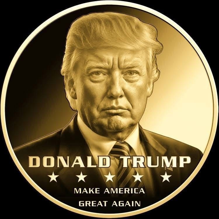 DONALD TRUMP 1/1000 Oz Gold Coin 3000 Francs Chad Coin