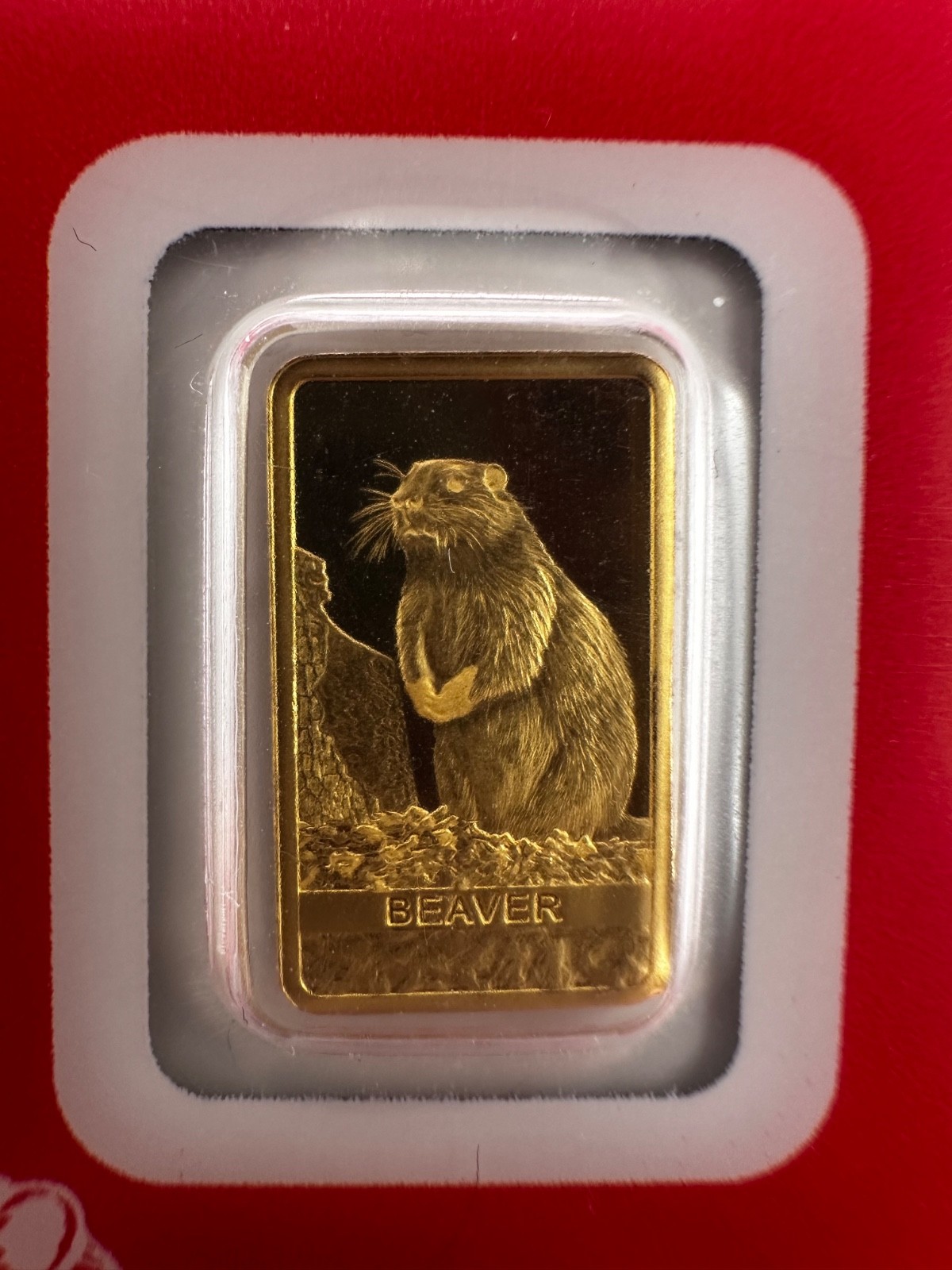 PAMP Suisse Beaver 1g Gold Bar .999 Red Series Switzerland Goldbarren No. 1818