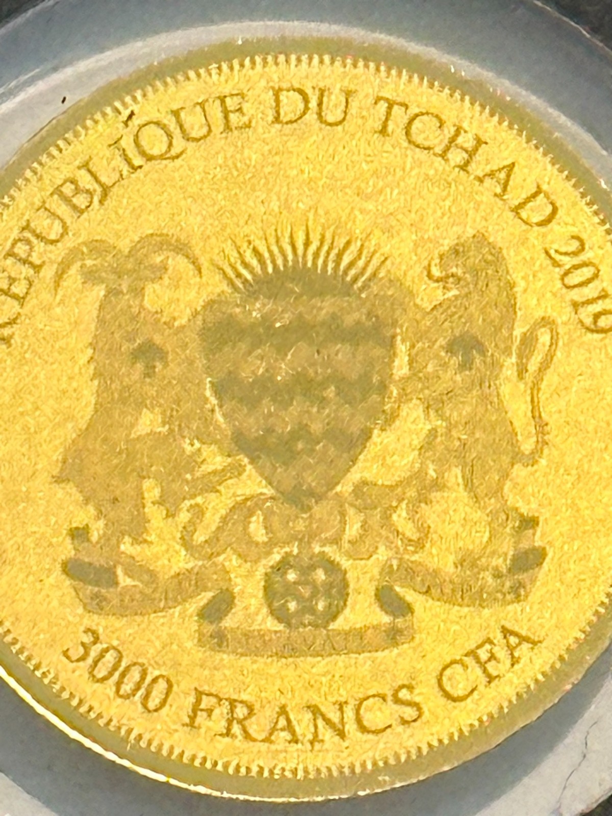 Chad 3000 Francs 2019 “African Springbok”