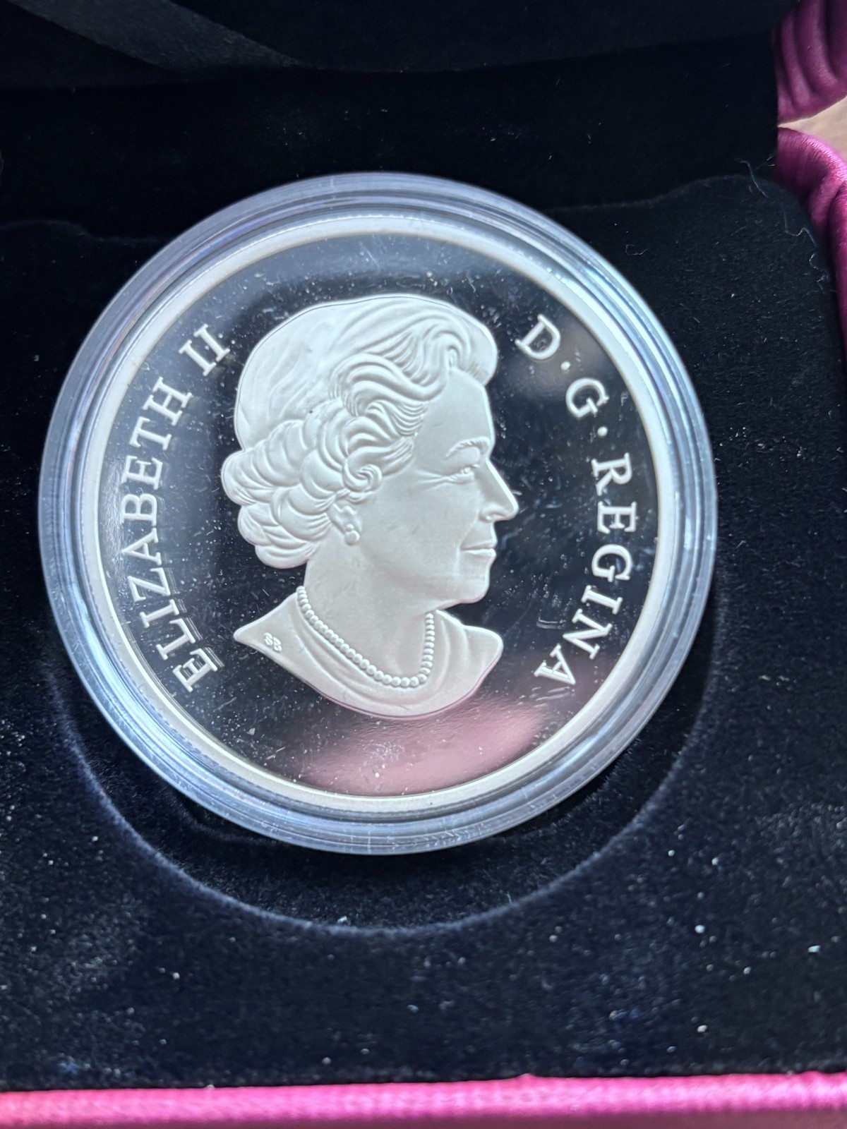 PLATINUM CELEBRATION,CANADA,SILVER,$20, 2017