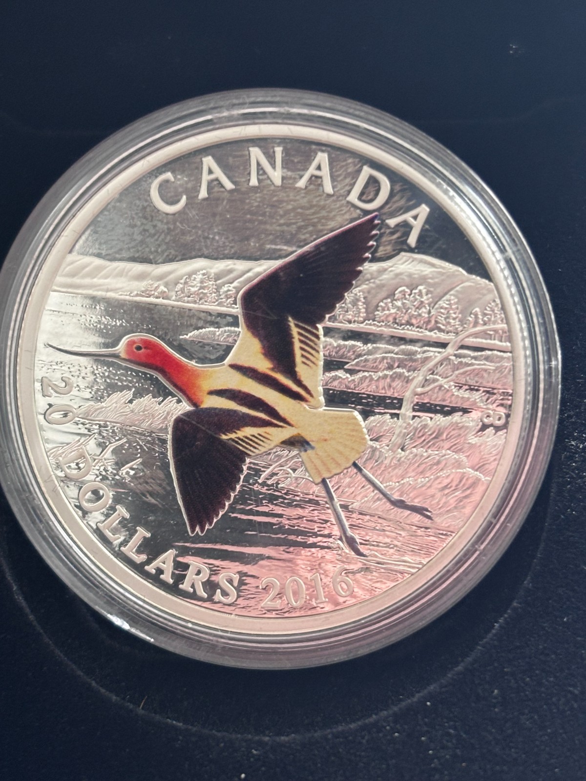 SILVER 1 oz, AVONET, CANADA, 100th protection american, SILVER ,$20, 2016