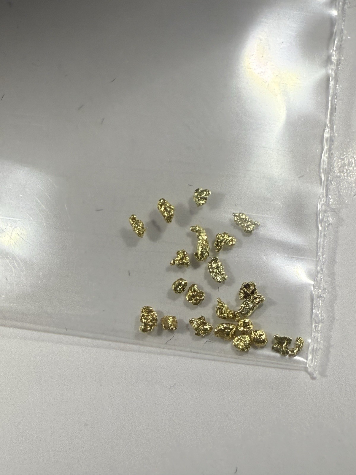 5 G PAMP SUISSE .9999 LADY FORTUNA GOLD BAR + 10 PIECE ALASKAN PURE GOLD NUGS