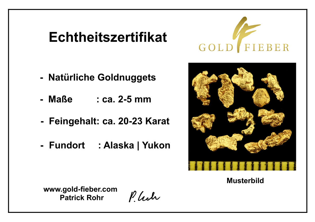 10 Genuine XL Gold Nuggets Alaska 2-5mm 20-23 Carat Bars Coin Jewelry Gift