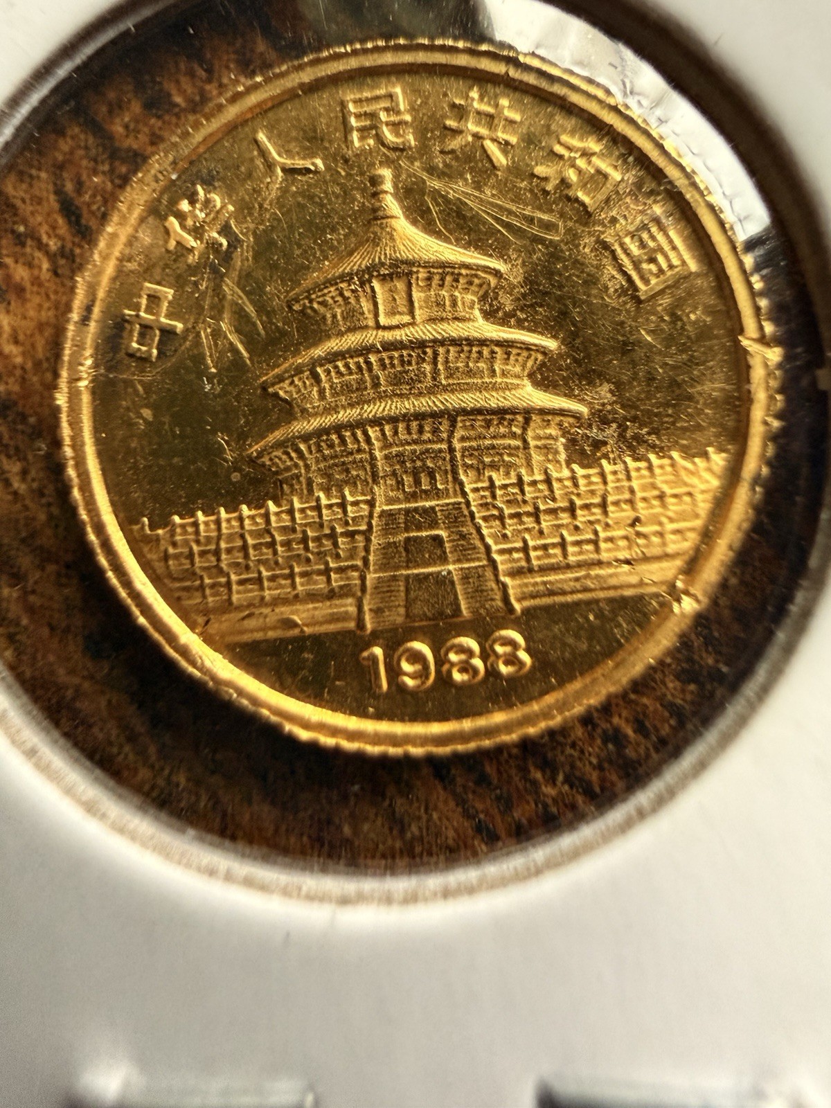1988 China 5 Yuan Panda 1/20th Ounce .999 Fine Pure Gold Coin Round Bullion