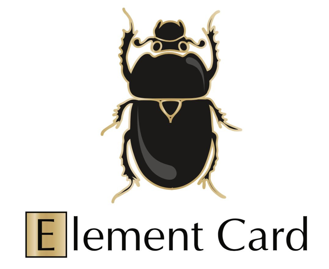 Element Card with 1g Silver Valcambi Combibar Bullion Wallet Bar Case PAMP APMEX