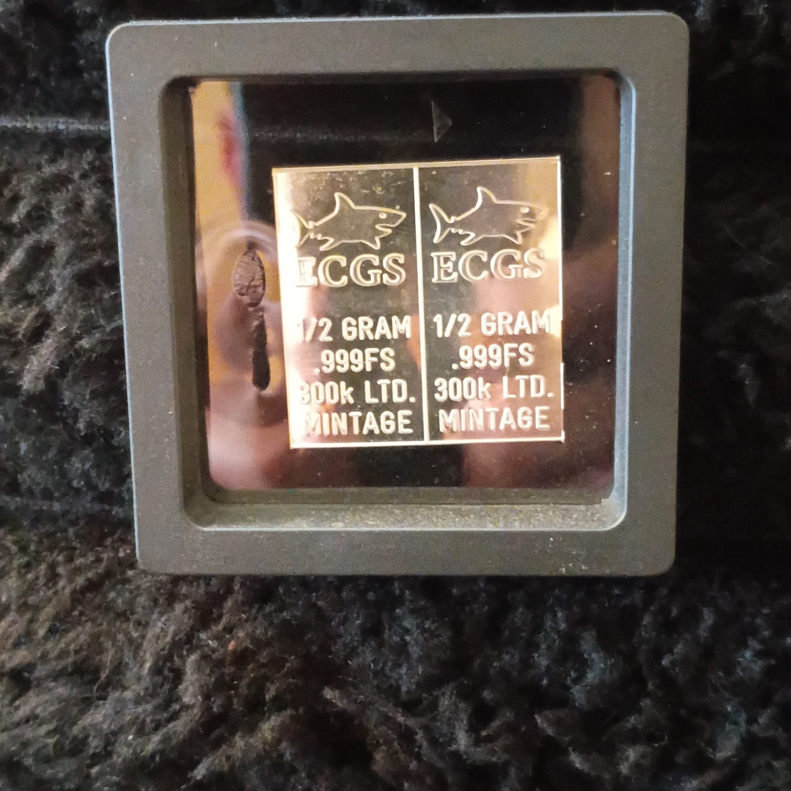ECGS 0.999 Fine Silver Bar 1/2 Gram Each Lot of 2 (1 Gram Total)