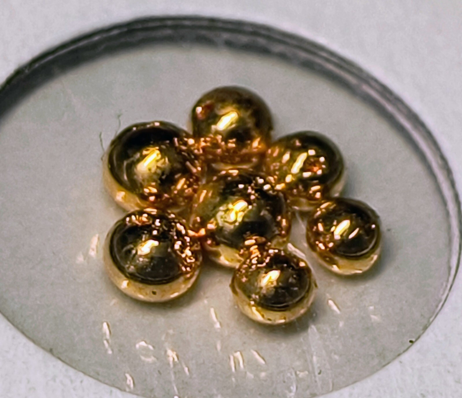 1 Gram Gold Grain – 999 Fine Bullion – Pure 24ct Gold Nuggets Scrap Or Repair