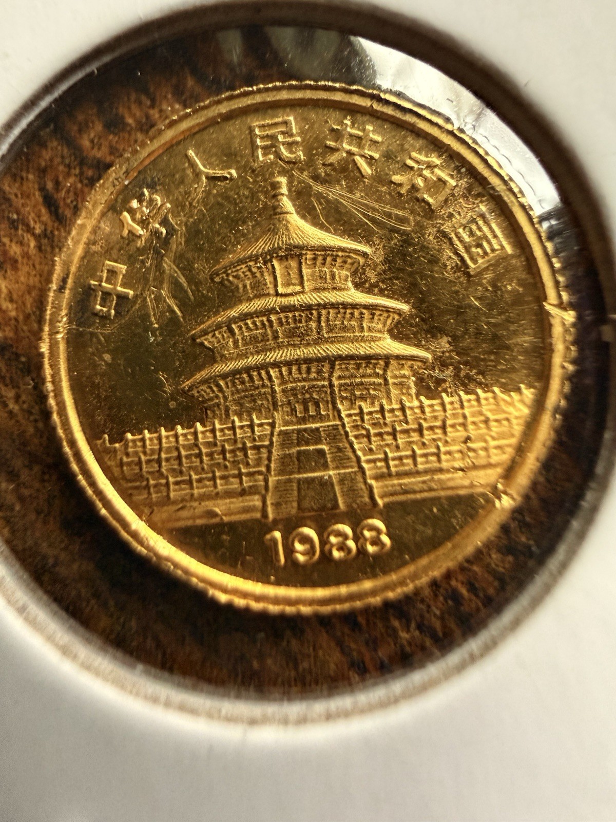 1988 China 5 Yuan Panda 1/20th Ounce .999 Fine Pure Gold Coin Round Bullion