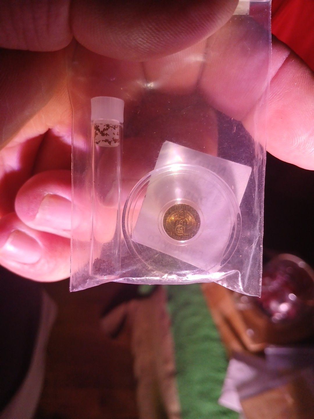 .5 Gram 24K Gold Dust And 1/200 Ozt Gold Scarab