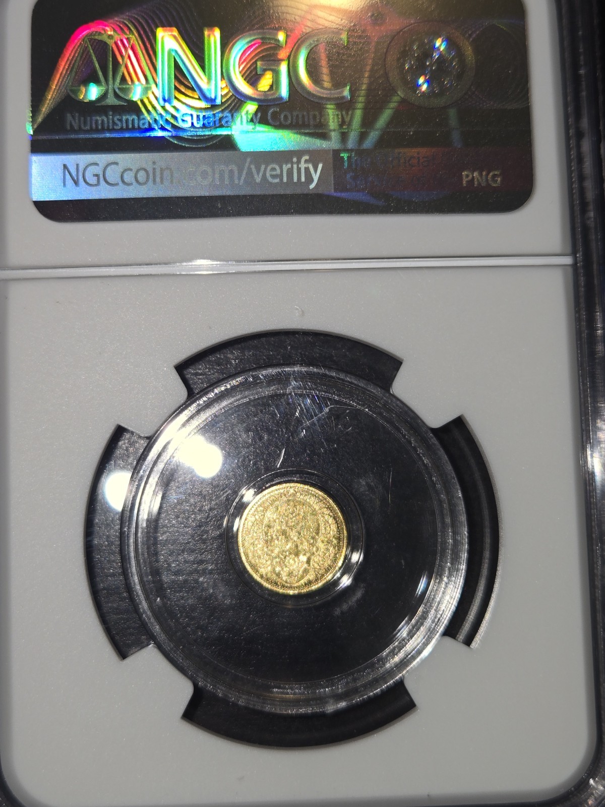 GOLD Day of The Dead Rose MS70 NGC 1/200 Round Lim Edition Private Issue