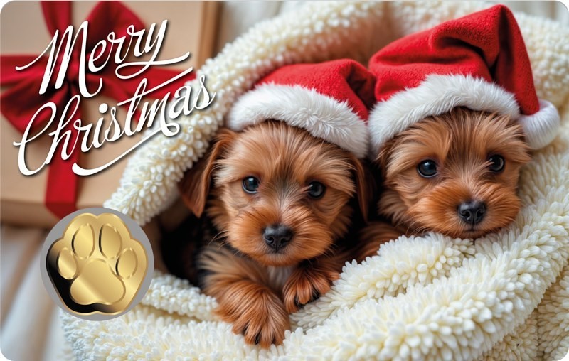 Chad Dog Paw Christmas Xmas 1/1000 Oz .999 Gold Coin in card 50k Mintage