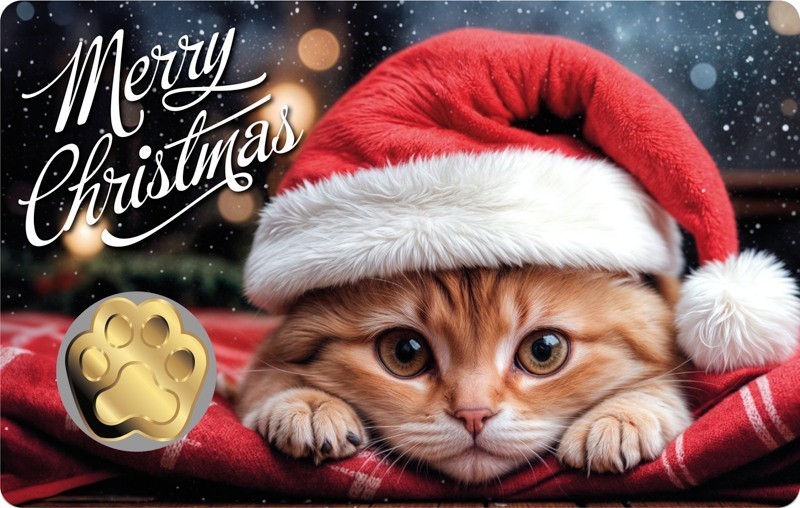 Chad Cat Paw Christmas Xmas 1/1000 Oz .999 Gold Coin in card 50k Mintage