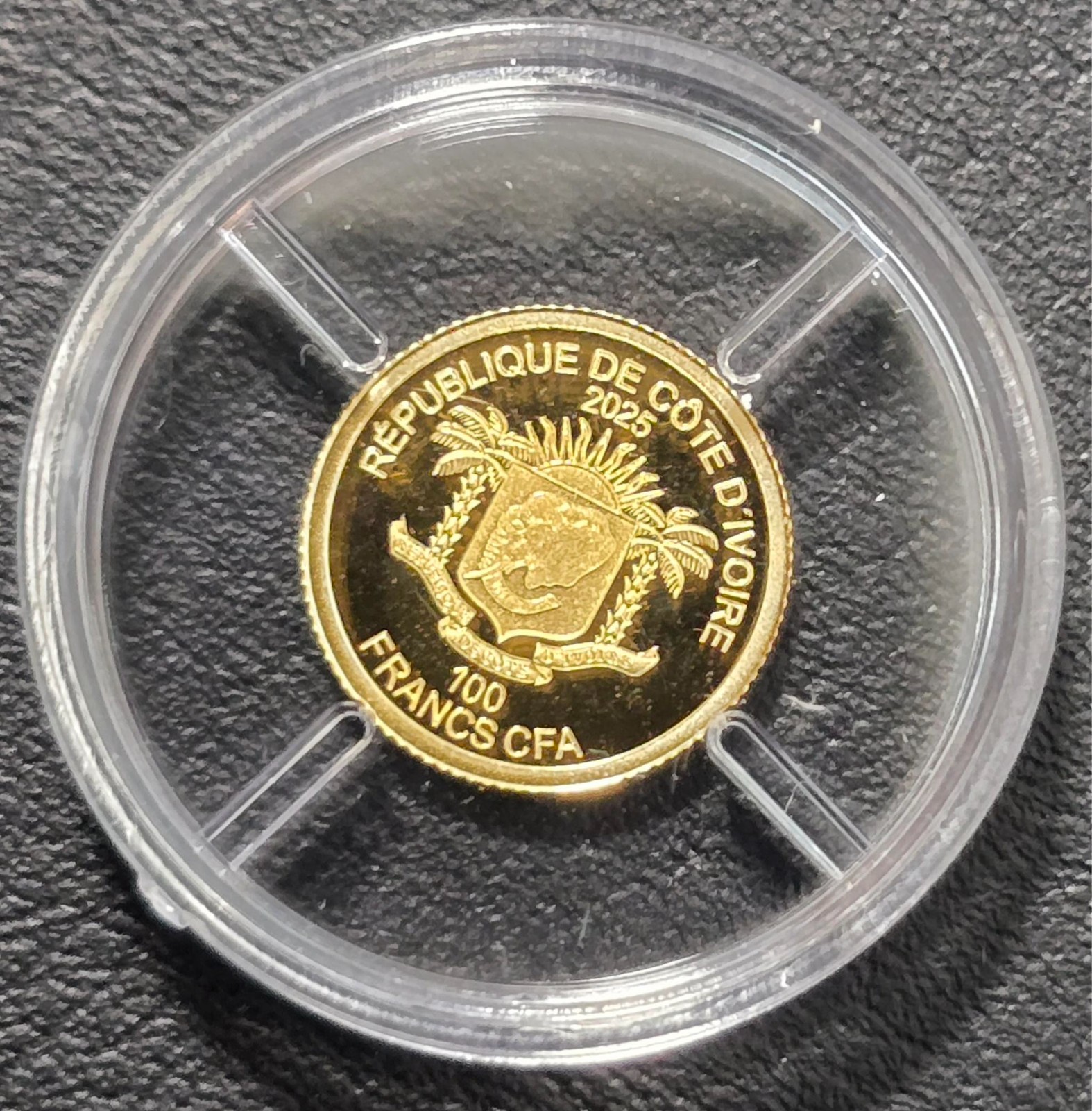 Michelangelo Cote d’Ivoire gold proof 2025 0.50 g Gold 999 Coin