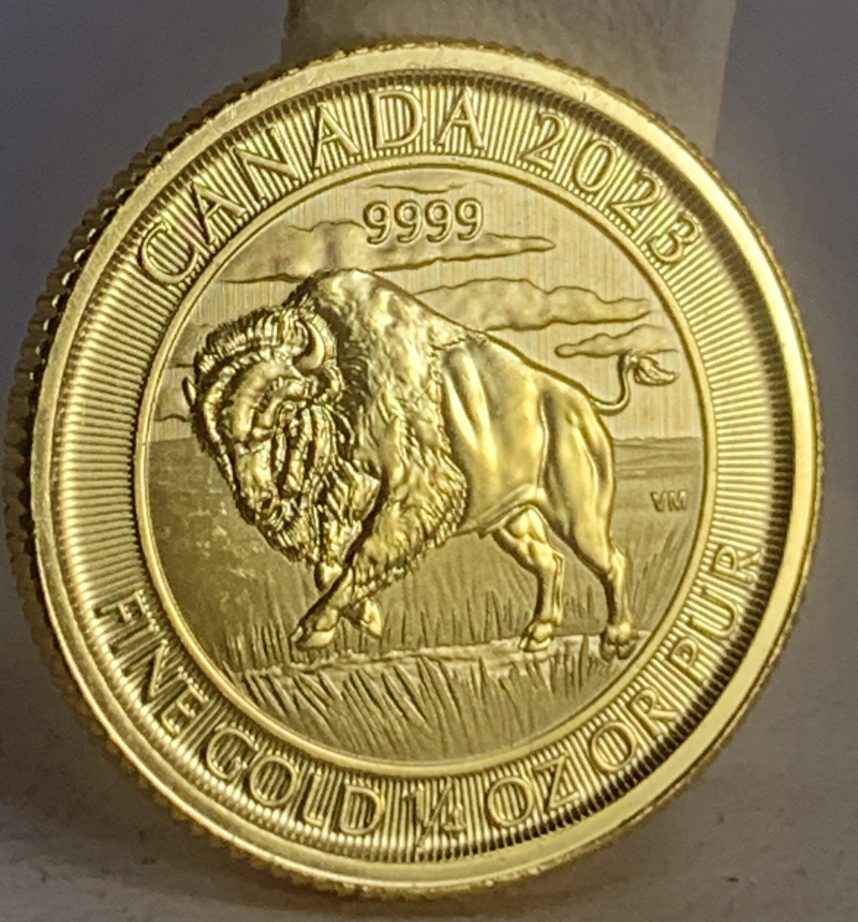 1/4 Ounce Gold 99.99 Pure Canadian Bison Coin