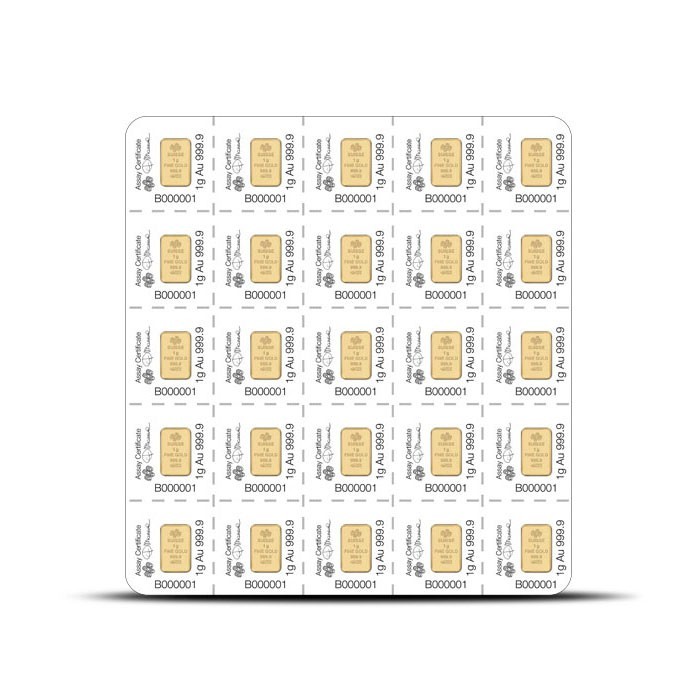 25 Gram Gold Divisible Bar New with Assay, 25×1 | PAMP Suisse
